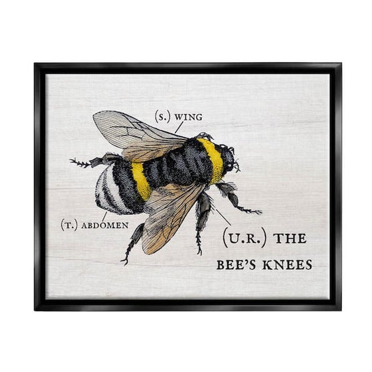 Anatomy of Honey Bee Pun Charming Bee's Knees by Daphne Polselli Floater Frame Animal Wall Art Print 17 in. x 21 in.