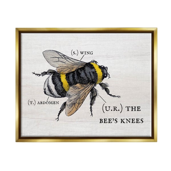 Anatomy of Honey Bee Pun Charming Bee's Knees by Daphne Polselli Floater Frame Animal Wall Art Print 17 in. x 21 in.